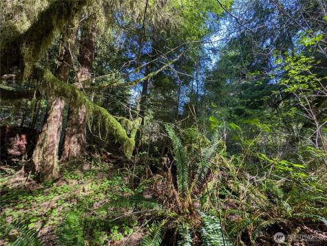 999 Hoh River Park Drive Forks WA 98331