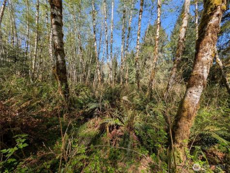 999 Hoh River Park Drive Forks WA 98331