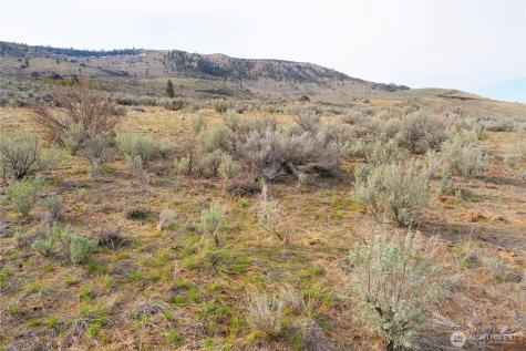 0 Tract 4 Mcneil Canyon Orondo WA 98816