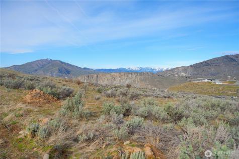 0 Tract 4 Mcneil Canyon Orondo WA 98816