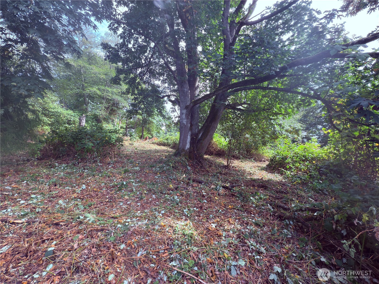 74 Skagit Way Hat Island WA 98206