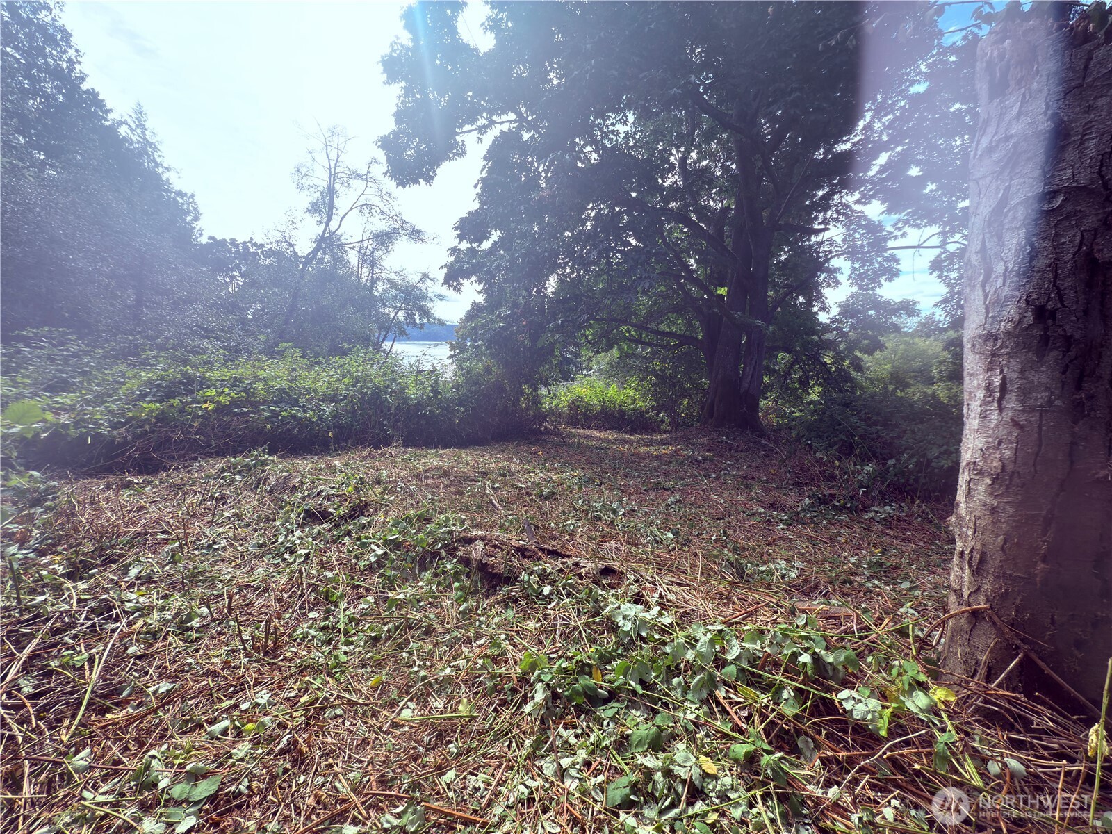 74 Skagit Way Hat Island WA 98206