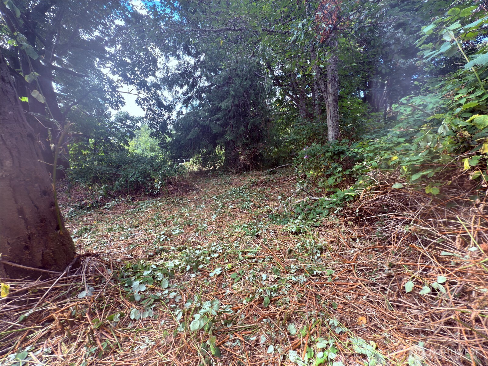 74 Skagit Way Hat Island WA 98206
