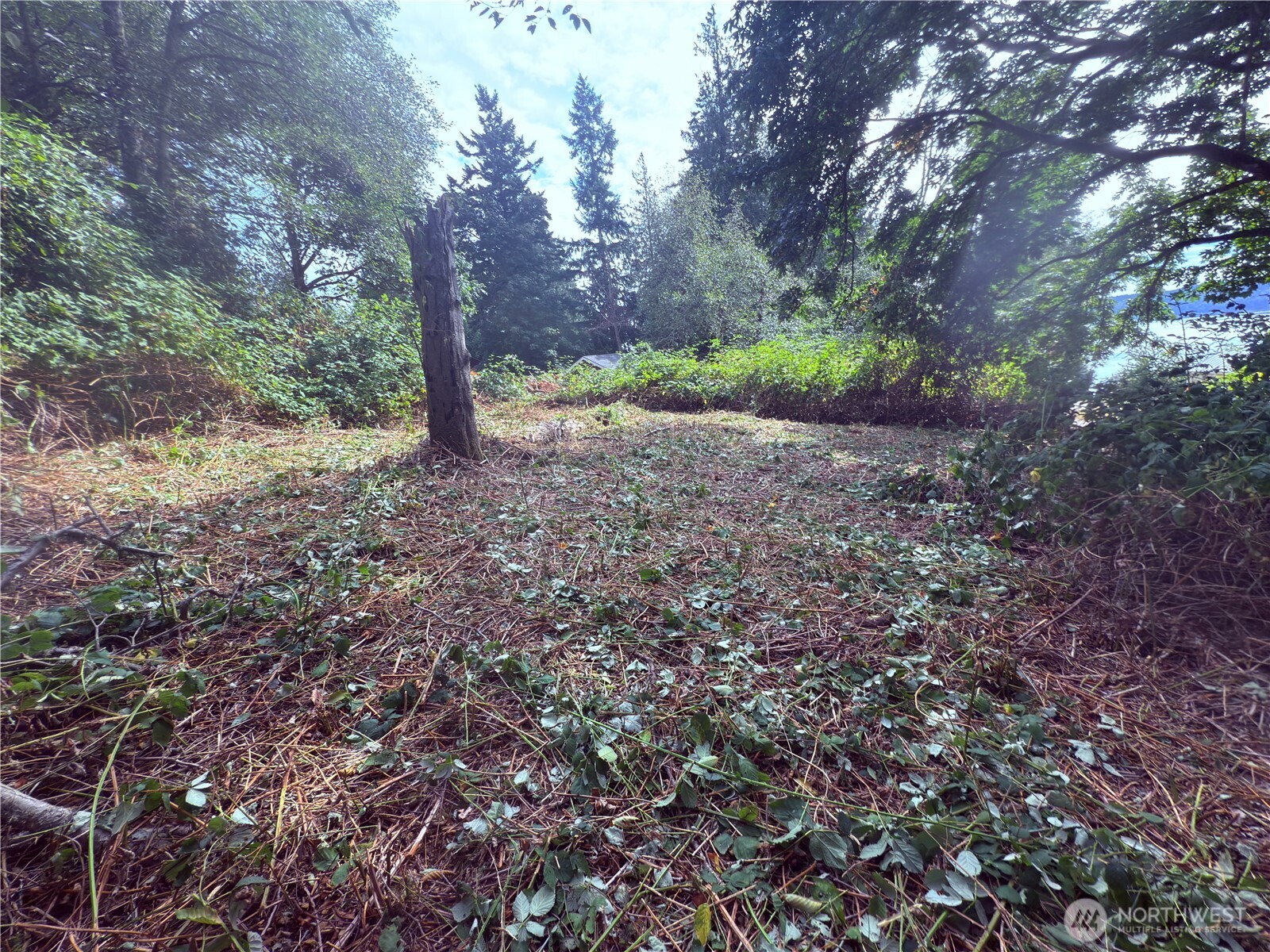 74 Skagit Way Hat Island WA 98206