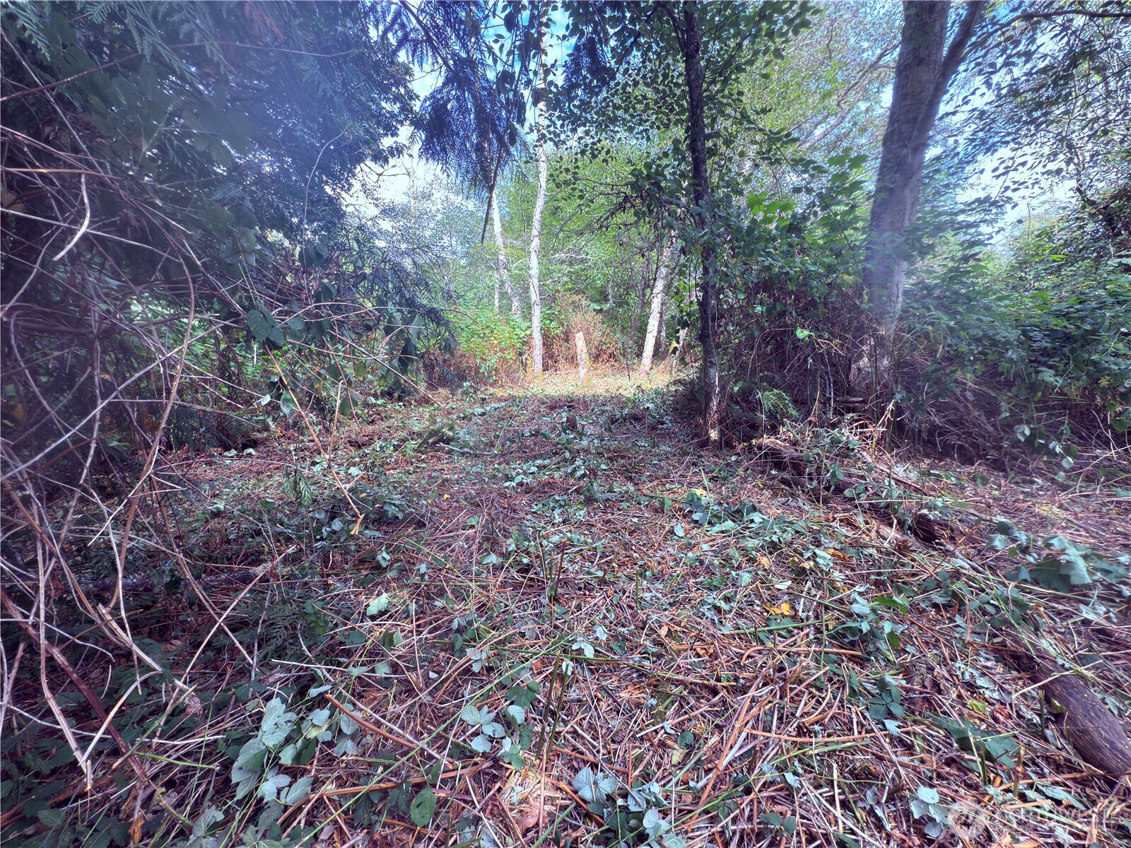 74 Skagit Way Hat Island WA 98206