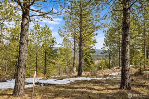 541 Gold Leaf Lane Cle Elum WA 98922