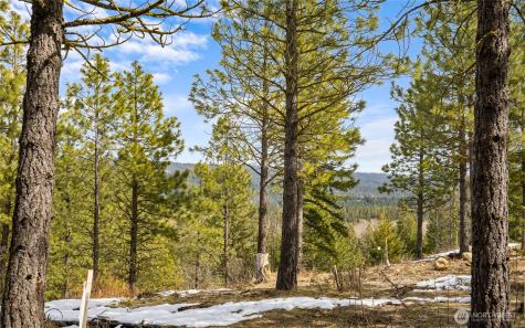 541 Gold Leaf Lane Cle Elum WA 98922