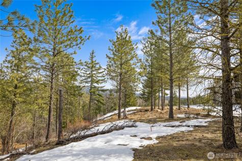 541 Gold Leaf Lane Cle Elum WA 98922