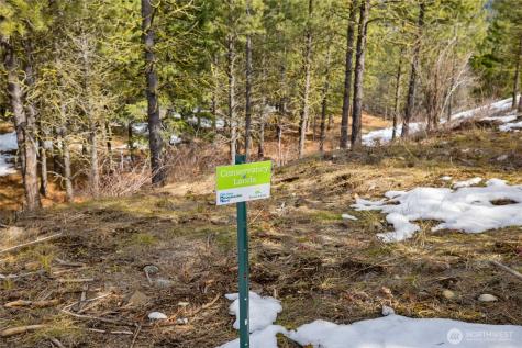 541 Gold Leaf Lane Cle Elum WA 98922