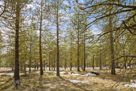 541 Gold Leaf Lane Cle Elum WA 98922
