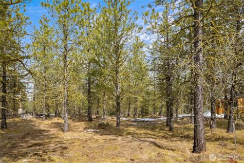 541 Gold Leaf Lane Cle Elum WA 98922