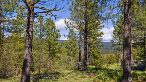 541 Gold Leaf Lane Cle Elum WA 98922