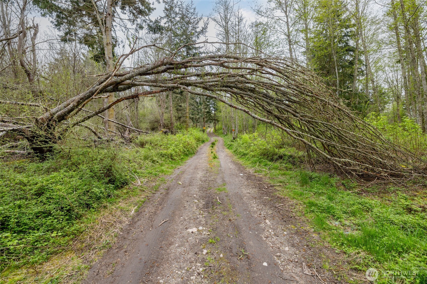 0 W Ault Field Road (Lot 2) Oak Harbor WA 98277