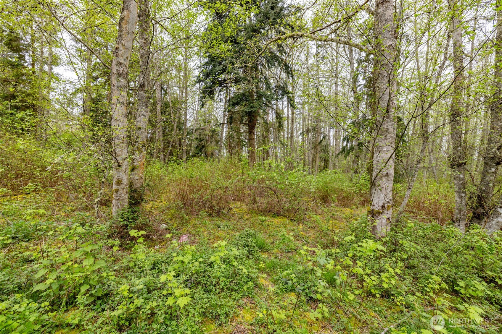 0 W Ault Field Road (Lot 2) Oak Harbor WA 98277