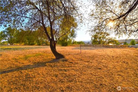 0 Asotin Street Omak WA 98841