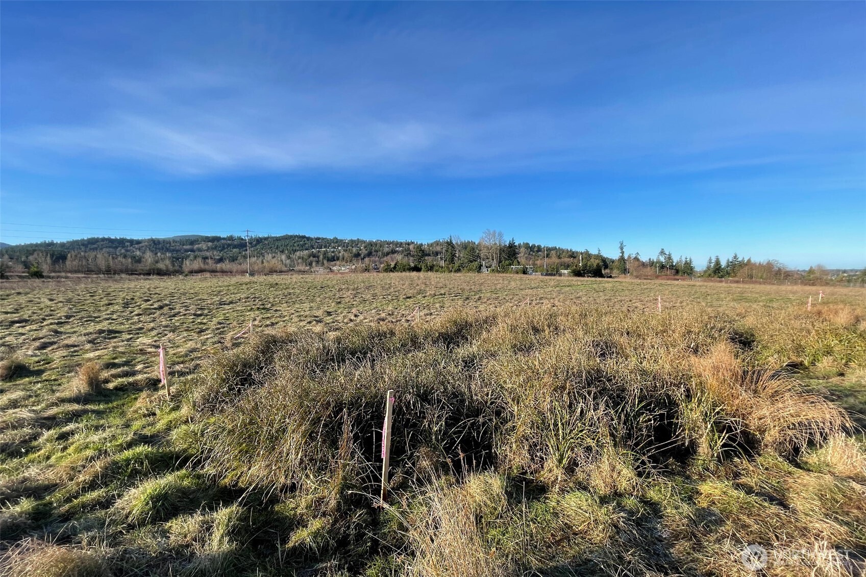 336 Bell Bottom Road Sequim WA 98382