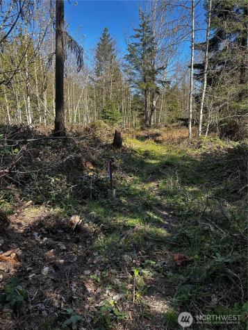 99 Robinson Road Port Angeles WA 98362