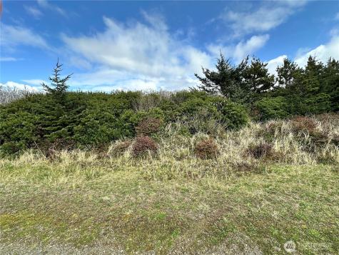 132 Dunes Lane Ocean Shores WA 98569
