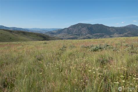 32 Maggies Road Twisp WA 98856