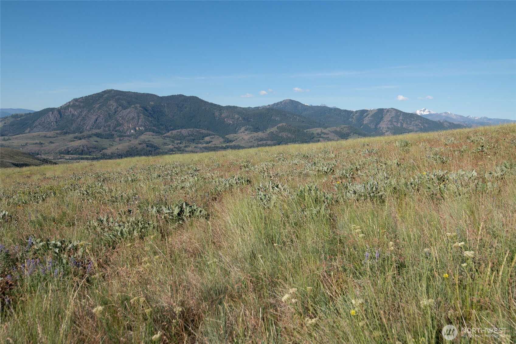 32 Maggies Road Twisp WA 98856