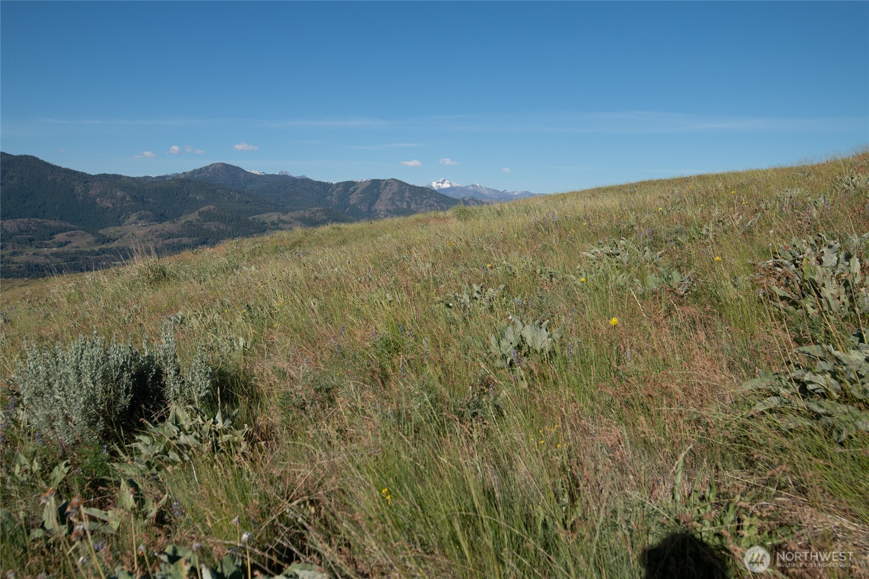 32 Maggies Road Twisp WA 98856