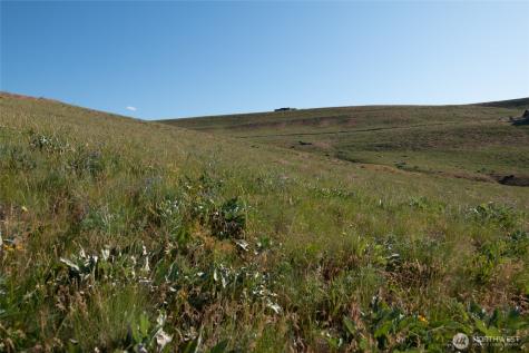 32 Maggies Road Twisp WA 98856