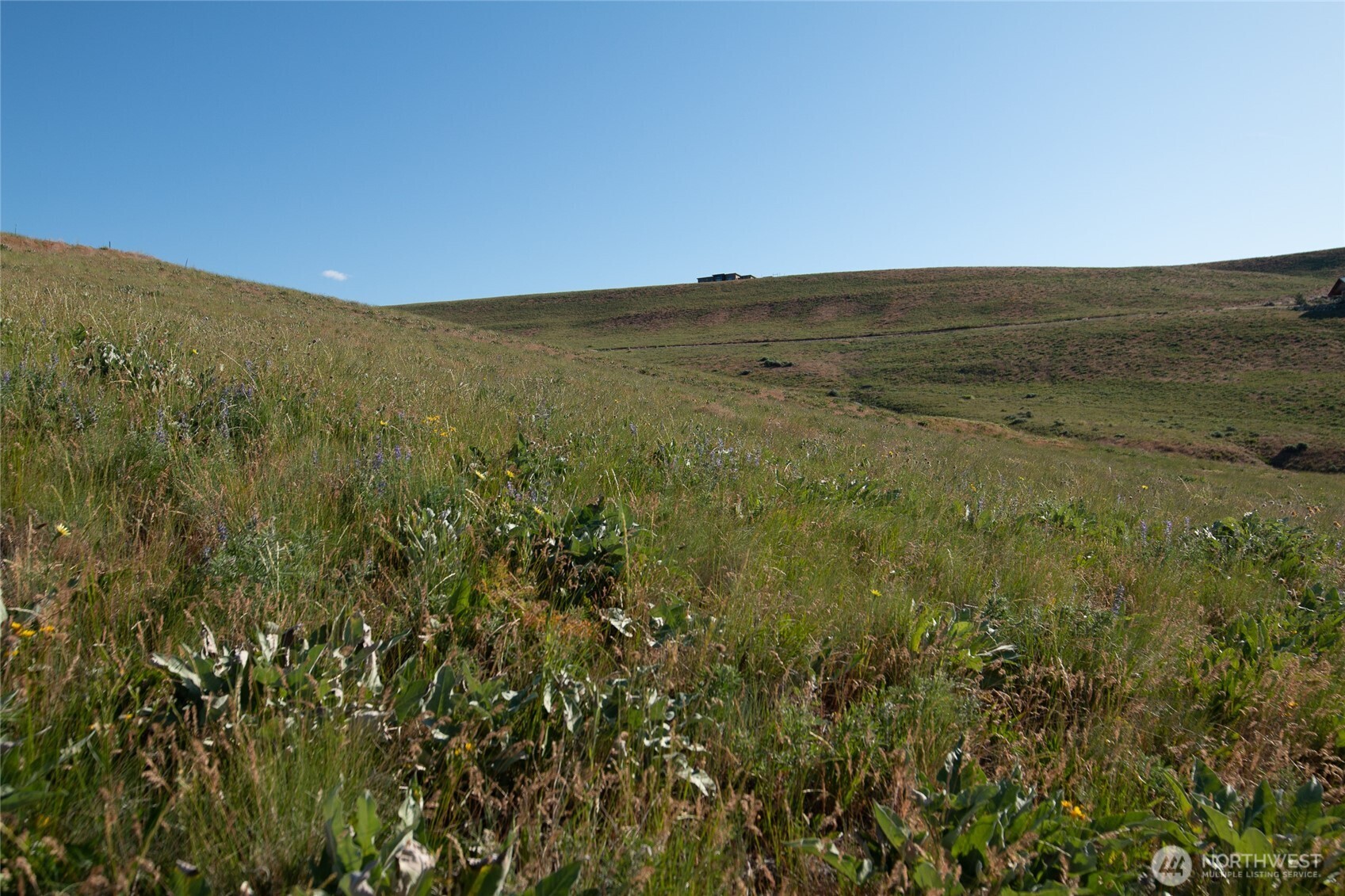 32 Maggies Road Twisp WA 98856