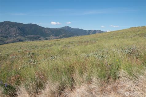 32 Maggies Road Twisp WA 98856