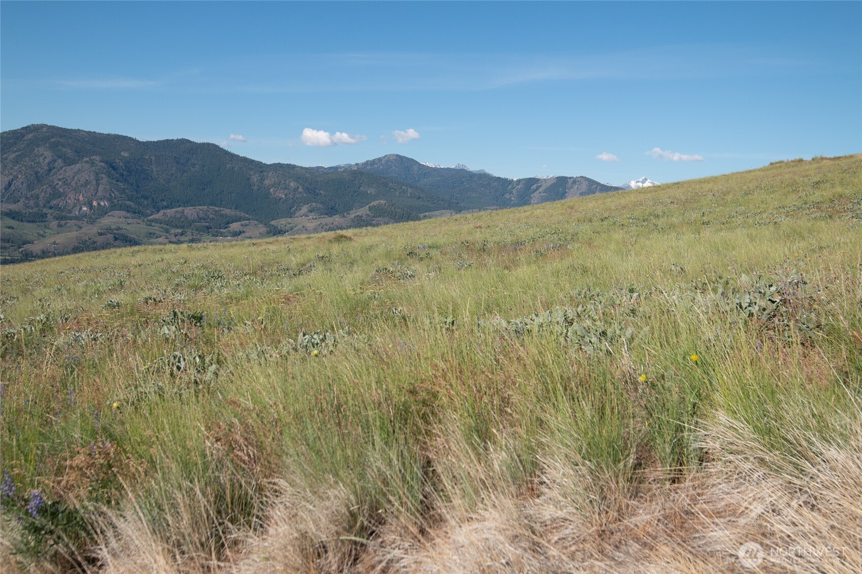 32 Maggies Road Twisp WA 98856