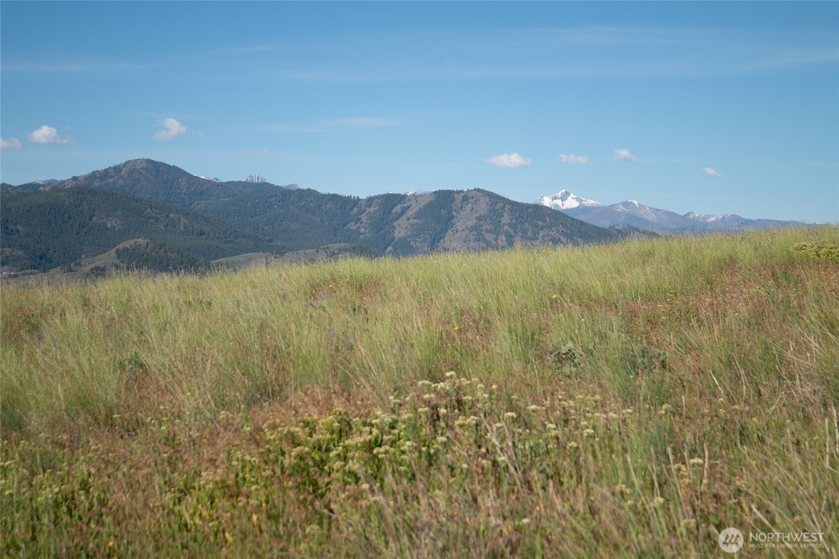 32 Maggies Road Twisp WA 98856
