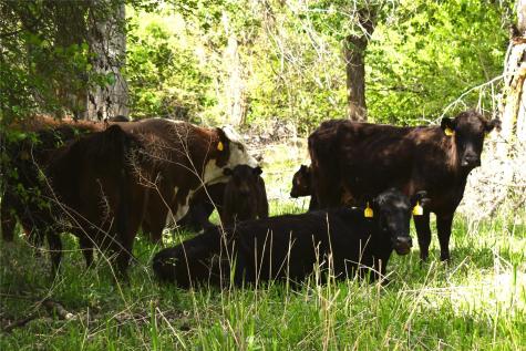 1640 Highway 7 Oroville WA 98844