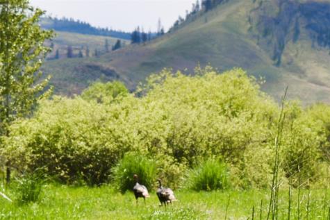 1640 Highway 7 Oroville WA 98844