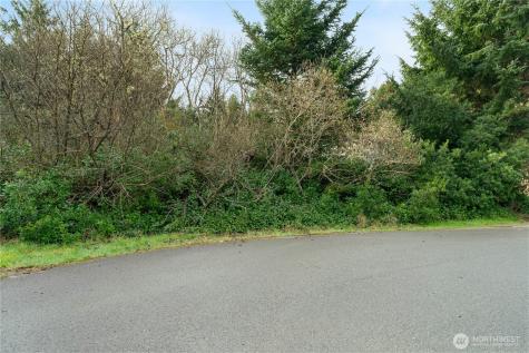 855 Hake Court SW Ocean Shores WA 98569