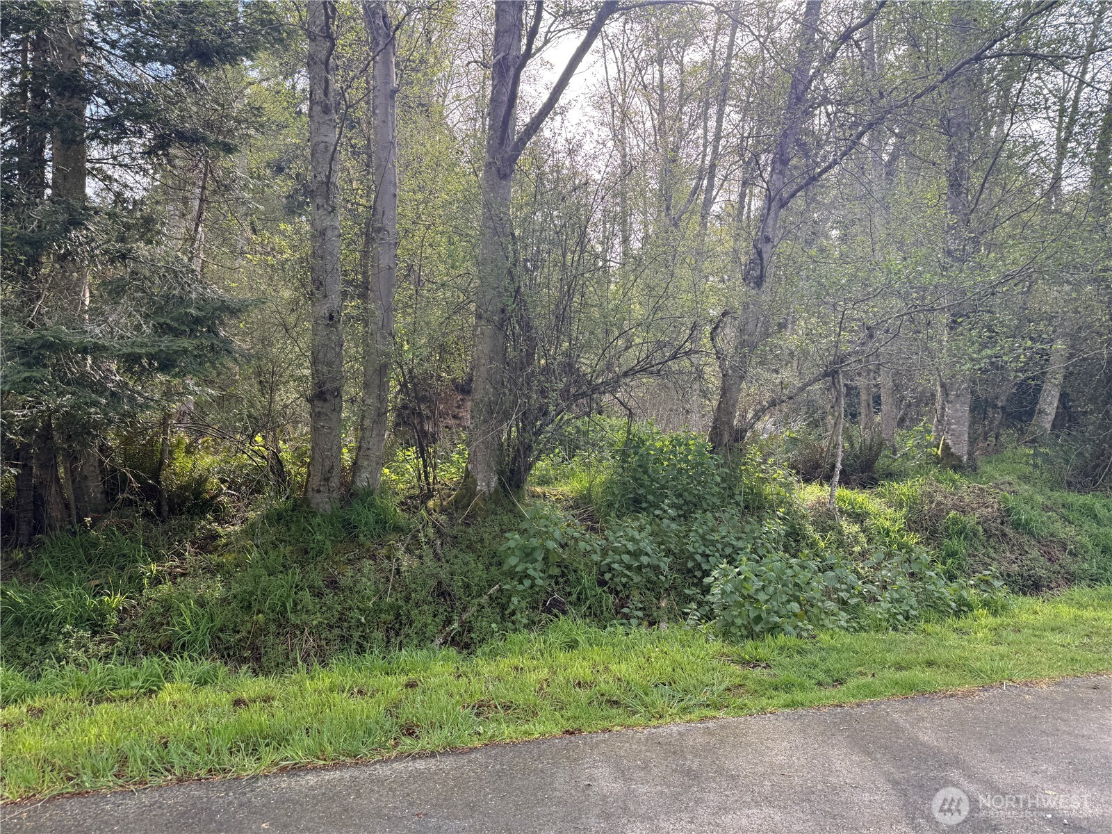 0 Seacrest Lane Coupeville WA 98239