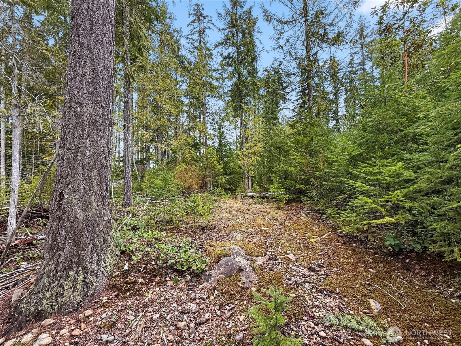 61 N Dow Court Hoodsport WA 98548