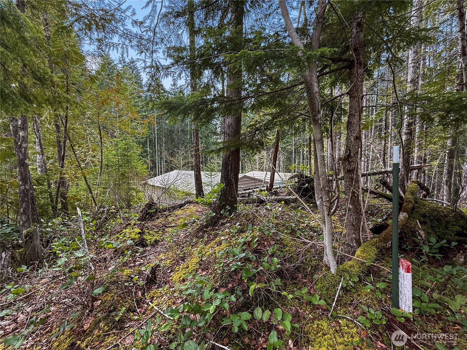 61 N Dow Court Hoodsport WA 98548