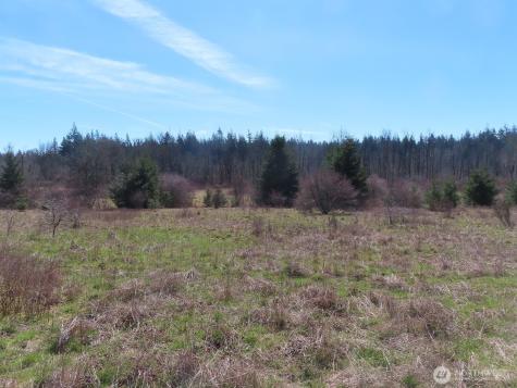 107 Avery Road Napavine WA 98565