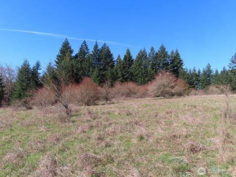 107 Avery Road Napavine WA 98565
