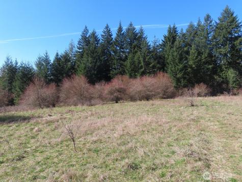 107 Avery Road Napavine WA 98565
