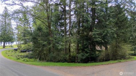 10501 105th Ave Court Anderson Island WA 98303