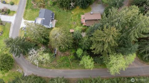 10501 105th Ave Court Anderson Island WA 98303