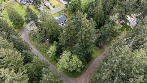 10501 105th Ave Court Anderson Island WA 98303