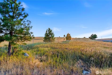 0 Horseshoe Lane Cle Elum WA 98922