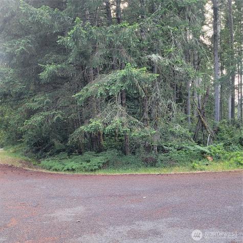 8922 129th Avenue Court Anderson Island WA 98303