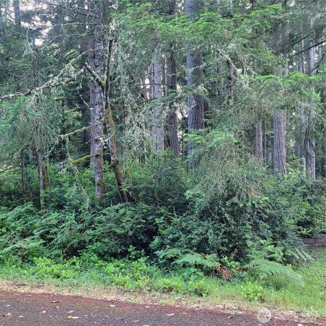 8922 129th Avenue Court Anderson Island WA 98303