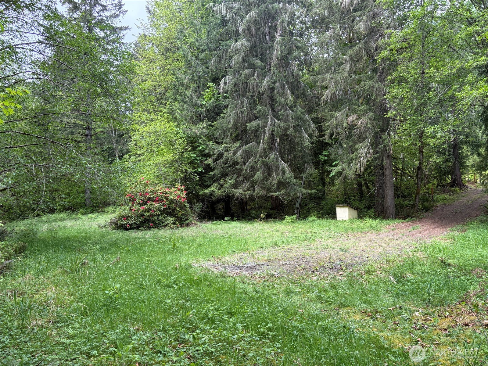 3 Duckabush Road Brinnon WA 98320
