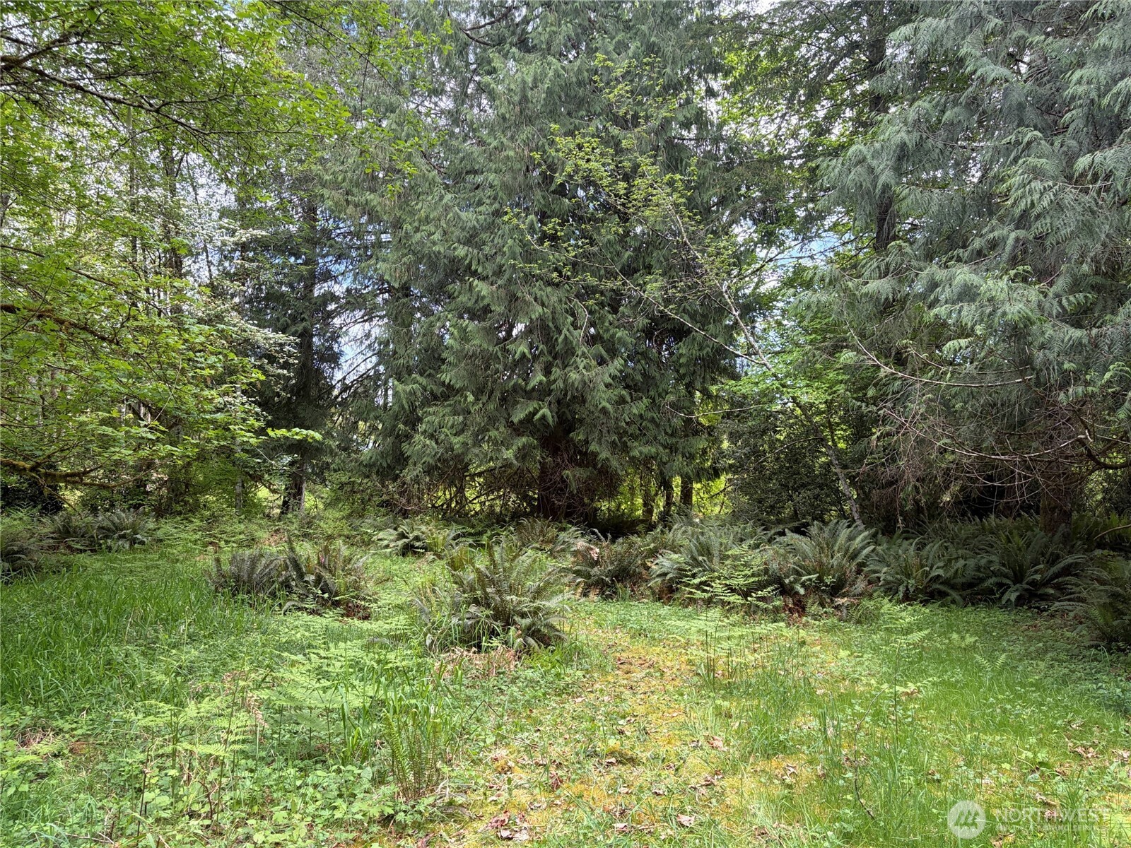 3 Duckabush Road Brinnon WA 98320