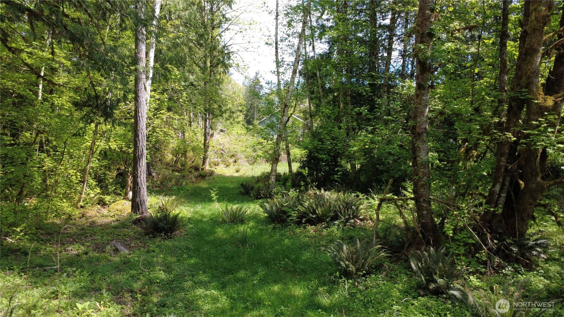 3 Duckabush Road Brinnon WA 98320