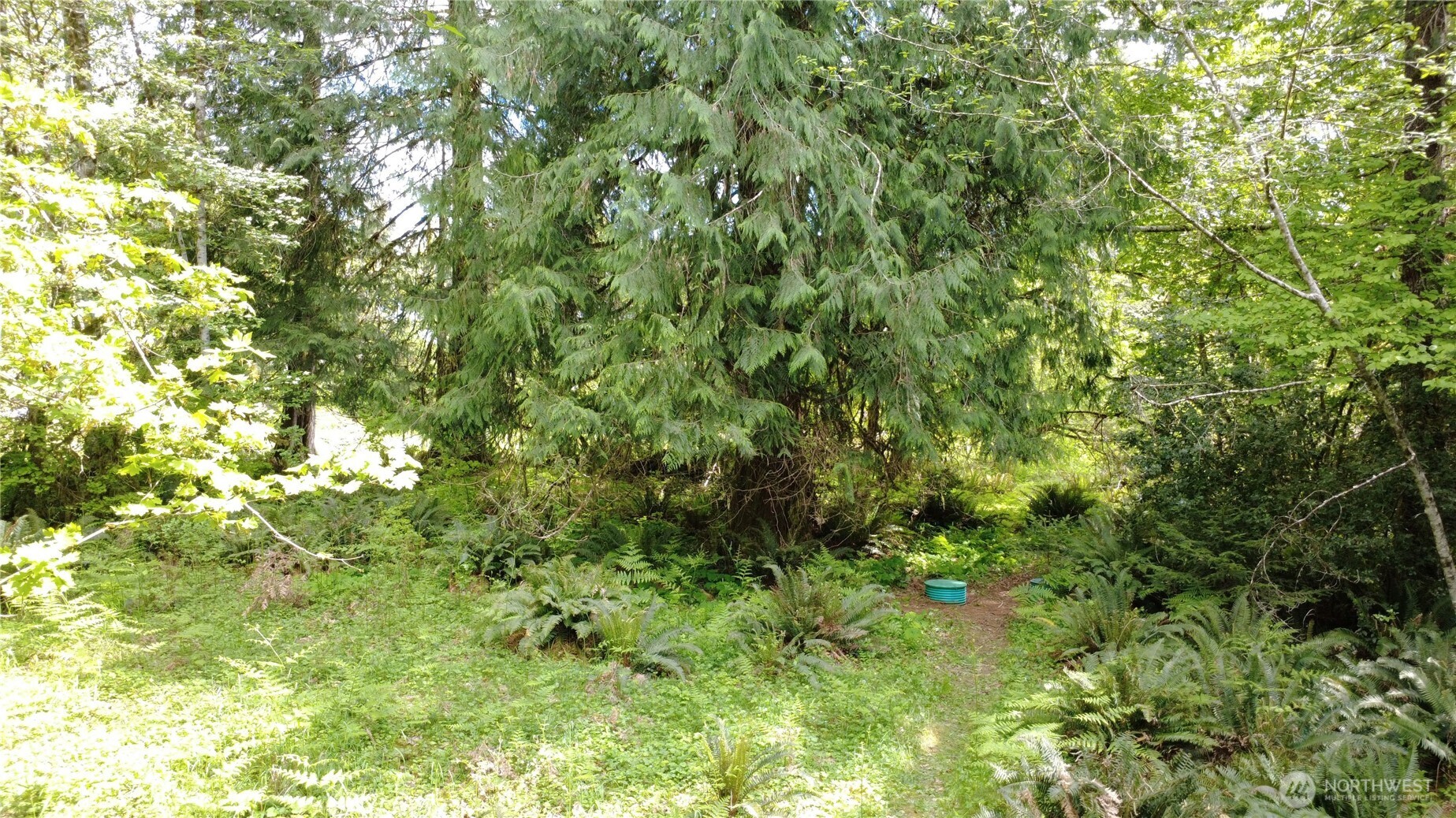 3 Duckabush Road Brinnon WA 98320