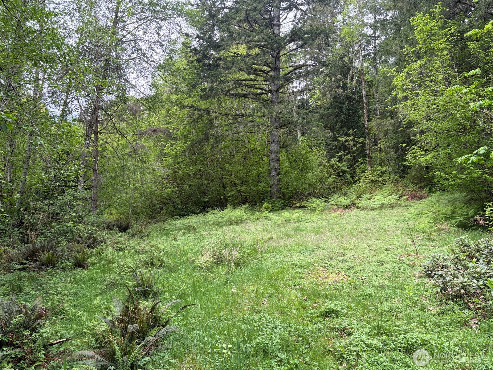 3 Duckabush Road Brinnon WA 98320